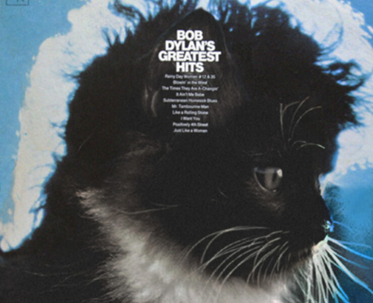 A black and white cat sitting on top of a blue background.