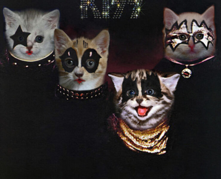 A group of cats wearing masks on their heads.