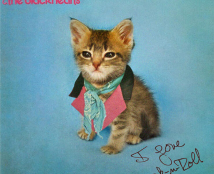 A kitten wearing a pink bow tie and a black jacket.