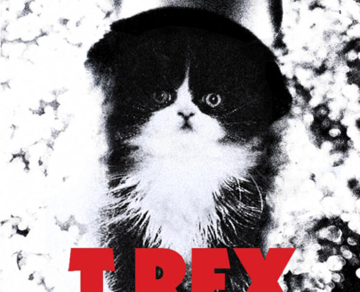 A black and white cat with a hat on