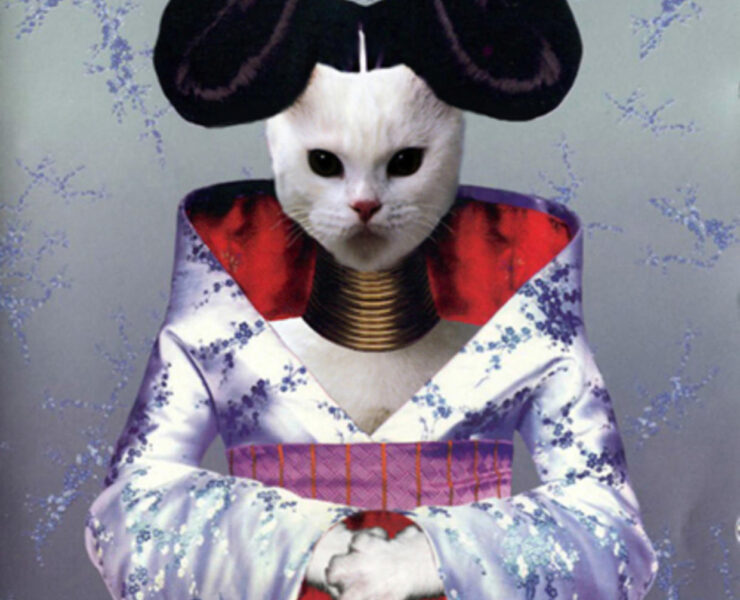A cat wearing a kimono and a hat.