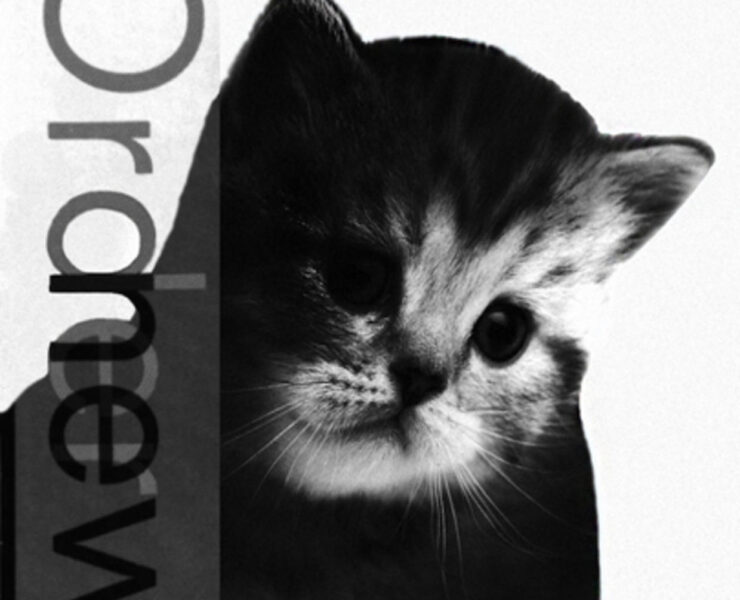 A cat is peeking out of the corner of an advertisement.