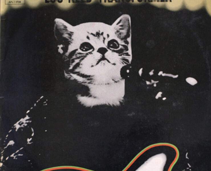 A cat sitting on top of a guitar.