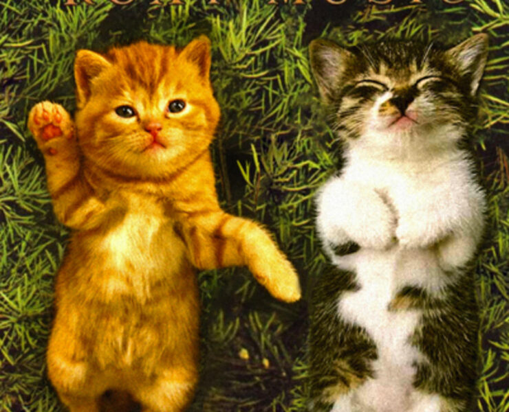 A cat standing next to another cat in the grass.