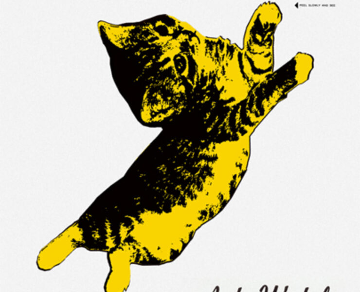 A cat is jumping in the air with its head down.
