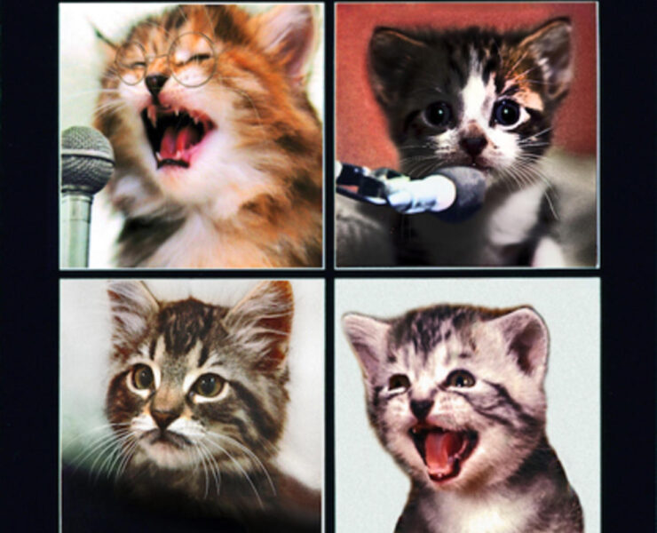 Four kittens are shown with their mouths open.